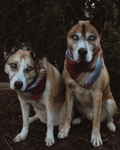 Halstuch YGGDRASIL - Bandana | Hundehalstuch | mittelschwer