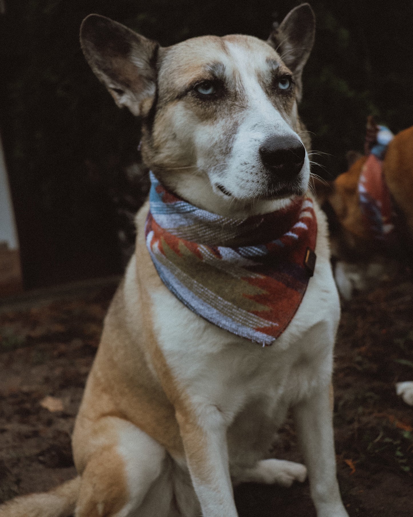 Halstuch YGGDRASIL - Bandana | Hundehalstuch | mittelschwer